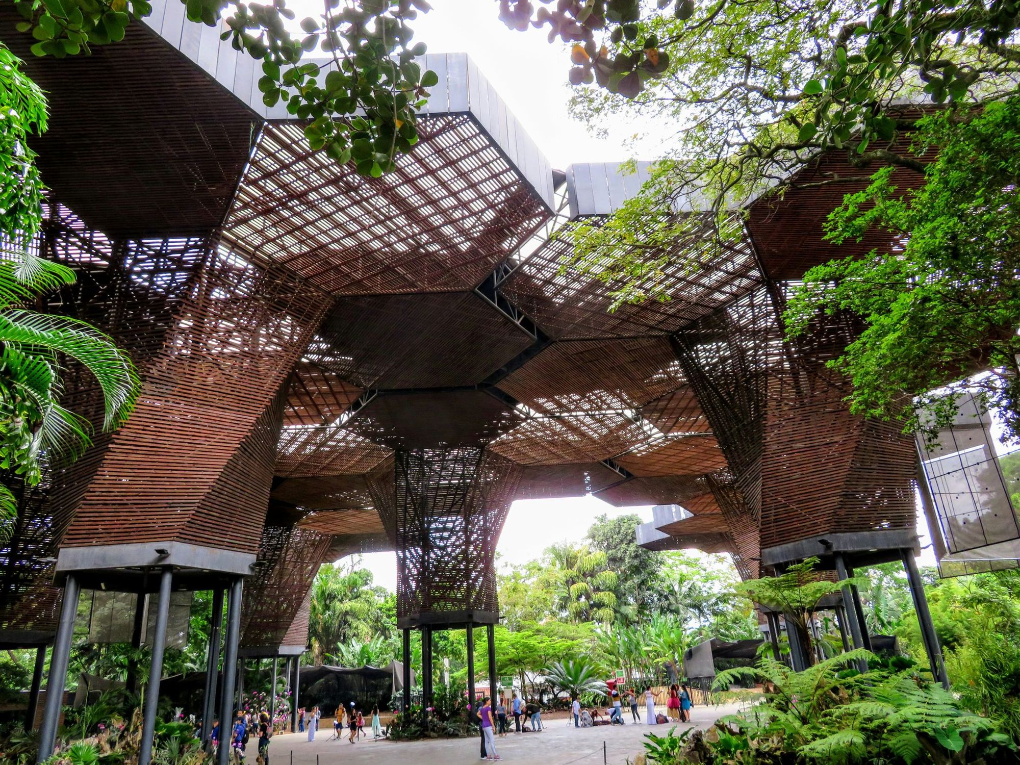 Orquideorama del Jardín Botánico de Medellín